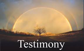 Terry Lawrence Testimony